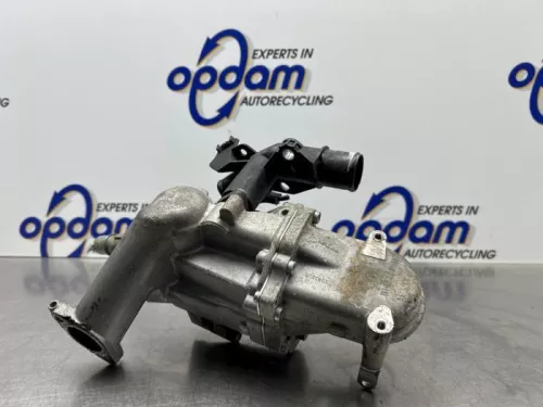 EGR Klep-8242770