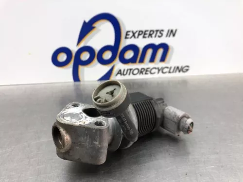EGR Klep-8216288