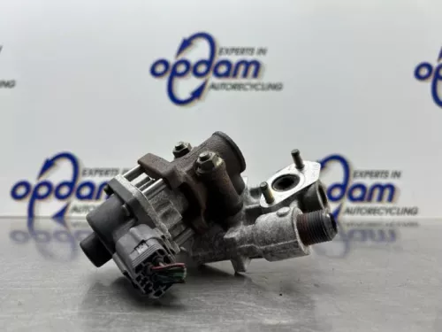 EGR Klep-8308838
