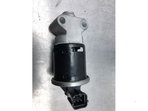 EGR Klep-7613593 (16568179)