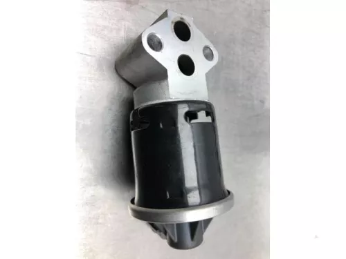 EGR Klep-7613593 (16568179)