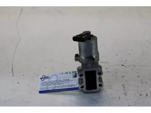 EGR Klep-7615143