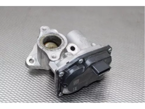 EGR Klep-