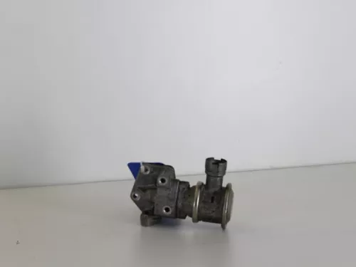 EGR Klep-