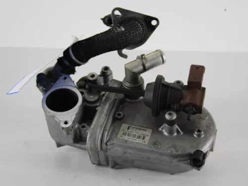 EGR Klep-