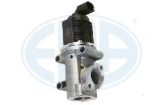 EGR Klep- (16455443)