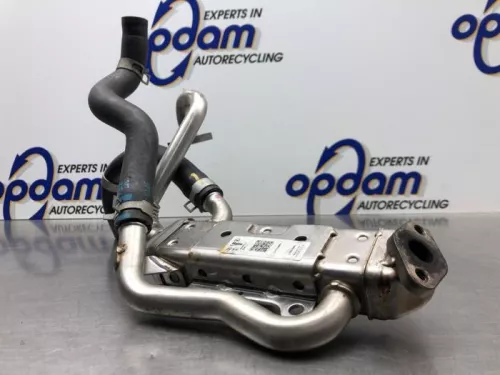 EGR koeler-8200579 (21768190)