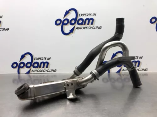 EGR koeler-8200579 (21768190)