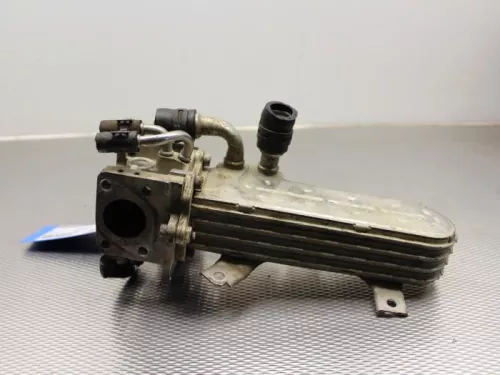 EGR koeler-7891666 (6155244)
