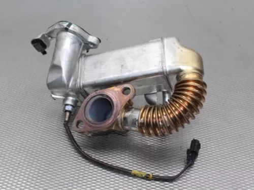 EGR koeler-7881496 (10672675)