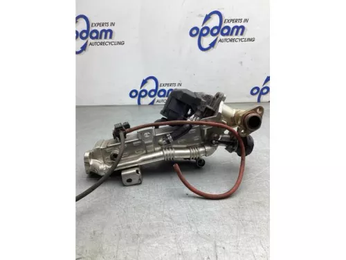 EGR koeler- (20315911)