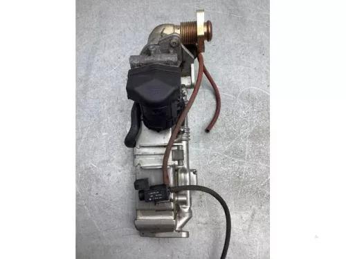 EGR koeler- (20315911)