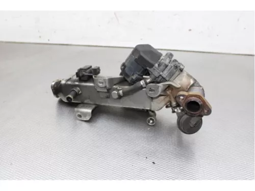 EGR Pomp-7857720 (13576242)