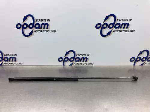 Gasdemper Cabriodak-8103069 (20754944)