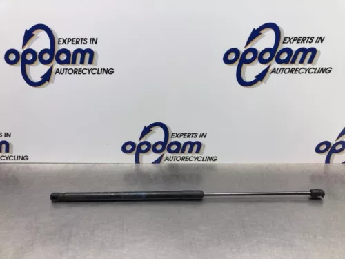 Gasdemper Motorkap links-8156832 (21020988)