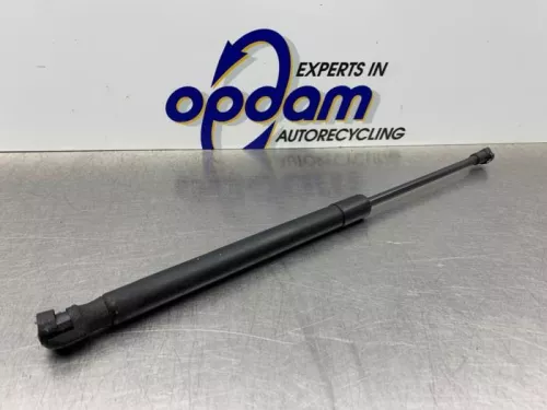 Gasdemper Motorkap links-8279371 (21977839)