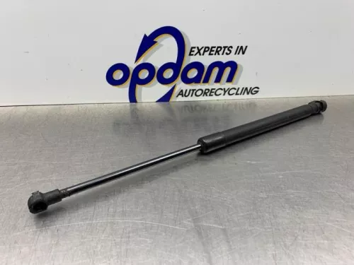 Gasdemper Motorkap links-8279371 (21977839)