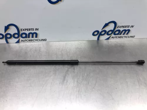 Gasdemper Motorkap links-7324506 (17103838)