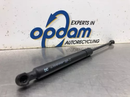 Gasdemper Motorkap Set-8170929 (20496132)