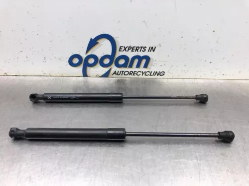 Gasdemper Motorkap Set-8170929 (20496132)
