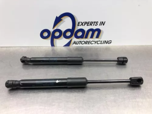 Gasdemper Motorkap Set-8176299 (20564469)