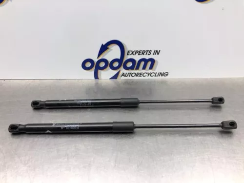 Gasdemper Motorkap Set-8163393 (20593895)