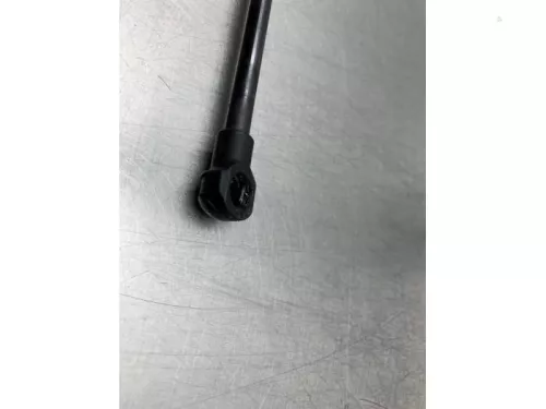 Gasdemper Motorkap Set-8292828 (22174126)