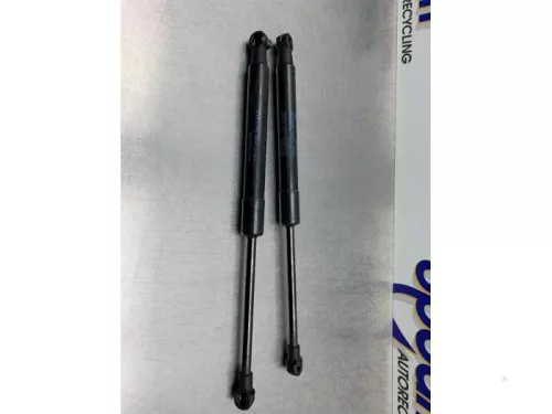 Gasdemper Motorkap Set-8292828