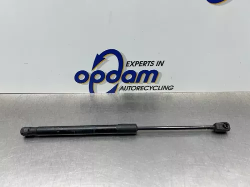 Gasdemper Motorkap Set-8118981 (21953554)