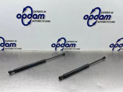 Gasdemper Motorkap Set-8272820 (22204635)