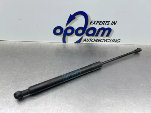 Gasdemper Motorkap Set-8272820 (22204635)