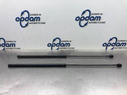 Gasdemper Motorkap Set-8039563 (19861899)