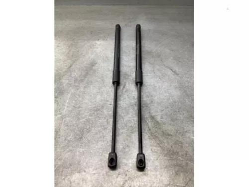 Gasdemper Motorkap Set-8160577 (21428871)