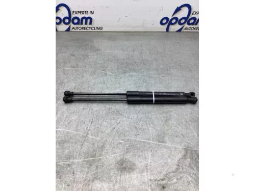 Gasdemper Motorkap Set-8234054 (21682373)