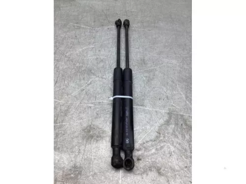 Gasdemper Motorkap Set-8234054 (21682373)