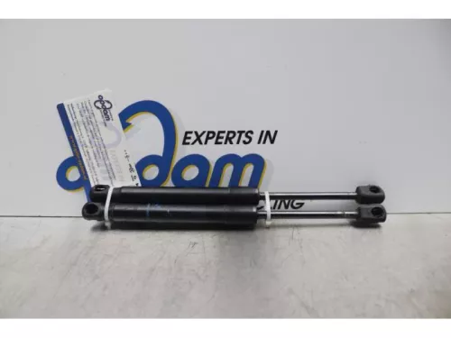 Gasdemper Motorkap Set-7620546 (14414290)