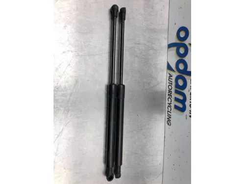 Gasdemper Motorkap Set-6938958 (16579265)
