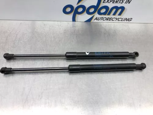 Gasdemper Motorkap Set-6725426 (16966682)