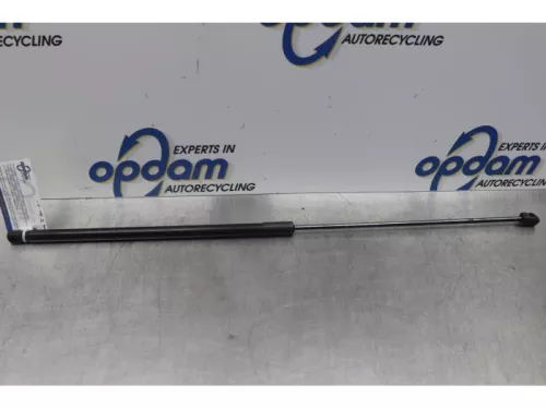 Gasdemper Motorkap Set-7853335 (15083213)