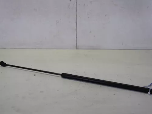 Gasdemper Motorkap Set-7716430 (9737421)