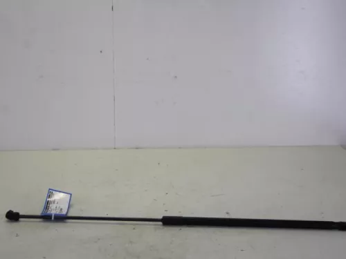 Gasdemper Motorkap Set-7887319