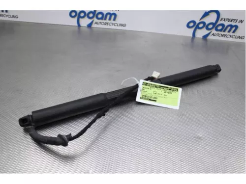 Gasdemper rechts-achter-6054770 (14260597)