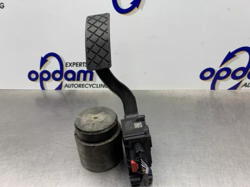 Gaspedaal-8250005 (21500067)