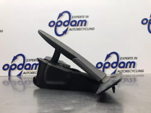 Gaspedaal-8102585 (21043344)