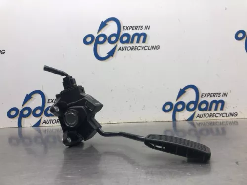 Gaspedaal-8084506