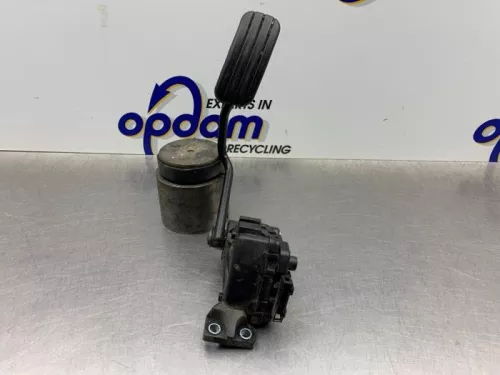Gaspedaal-8229255 (21730972)