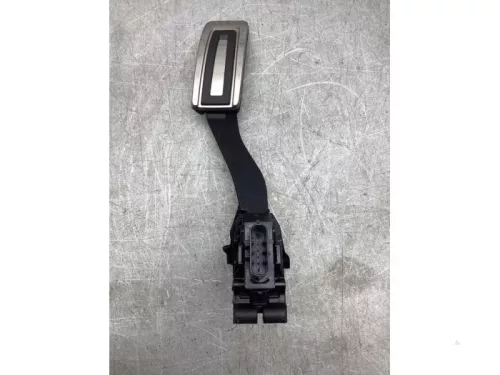 Gaspedaalpositie Sensor-8253406 (21692493)