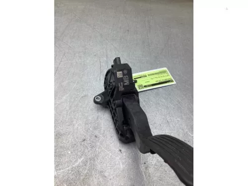 Gaspedaalpositie Sensor-8266027 (22423953)