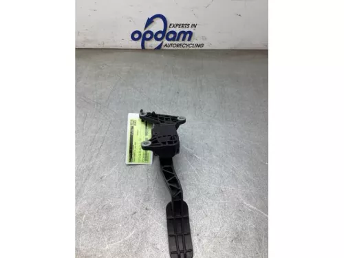Gaspedaalpositie Sensor-8266027 (22423953)