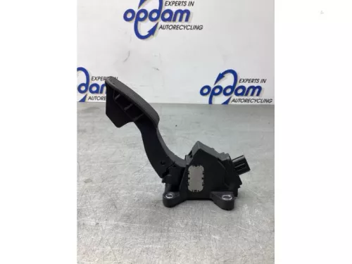 Gaspedaalpositie Sensor-8044990 (19816752)